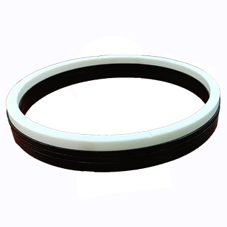 Oil Seals